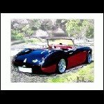 Austin Healey 3000.JPG
